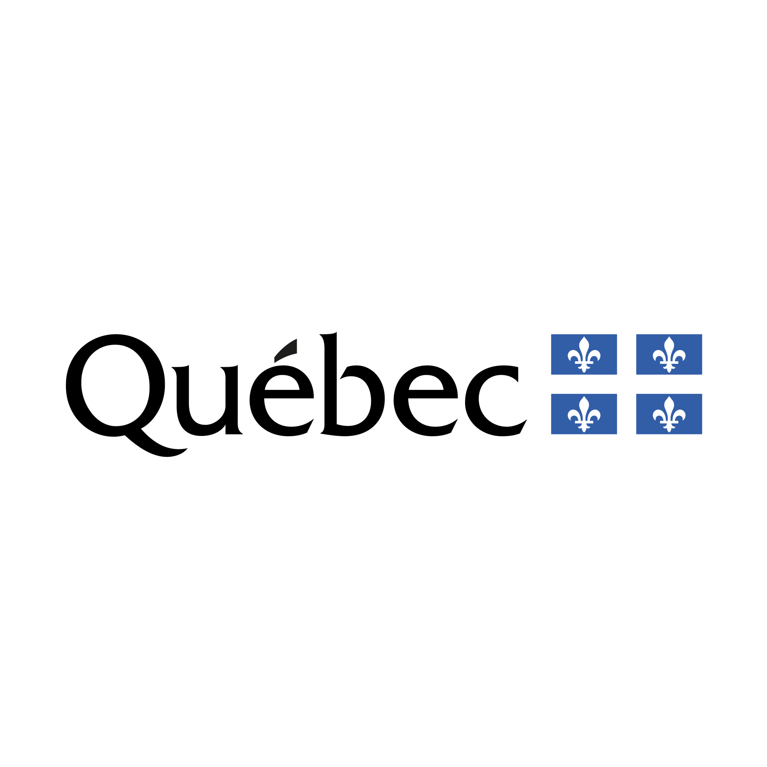 Partenaire Principal 1