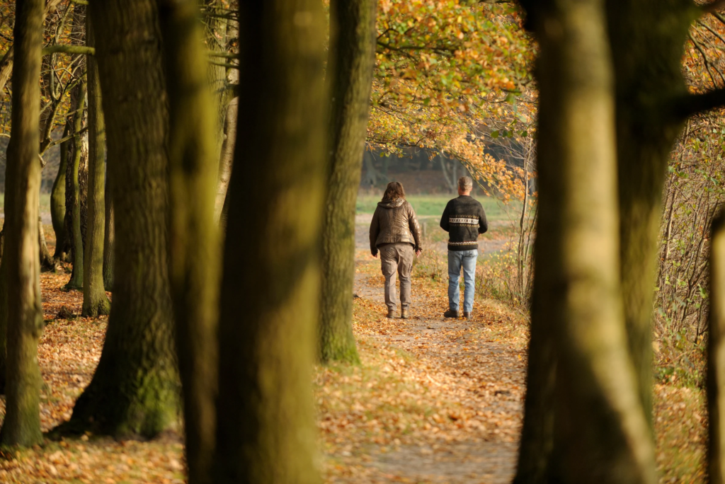 Sorties en nature gratuites ou à petit prix